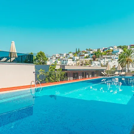 Zef * Bodrum